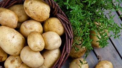Patata: Beneficiosa para tu piel