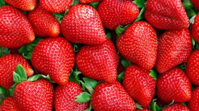 Fresas y fresones: Apuéstalo todo al rojo